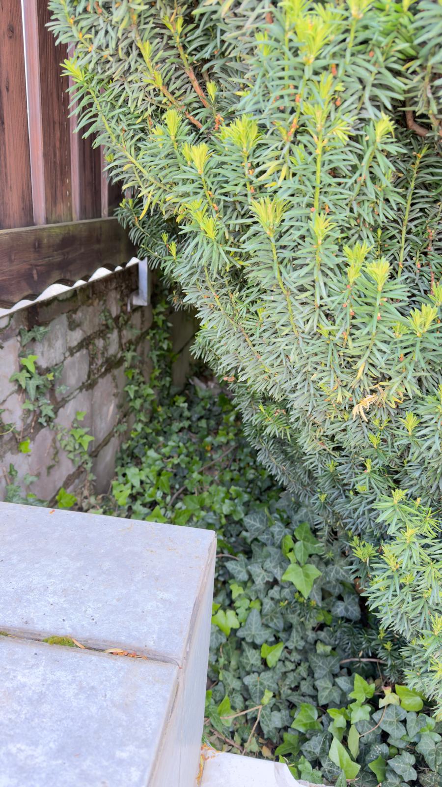 Umbau eines alten Balkons zu einem modernen Balkon